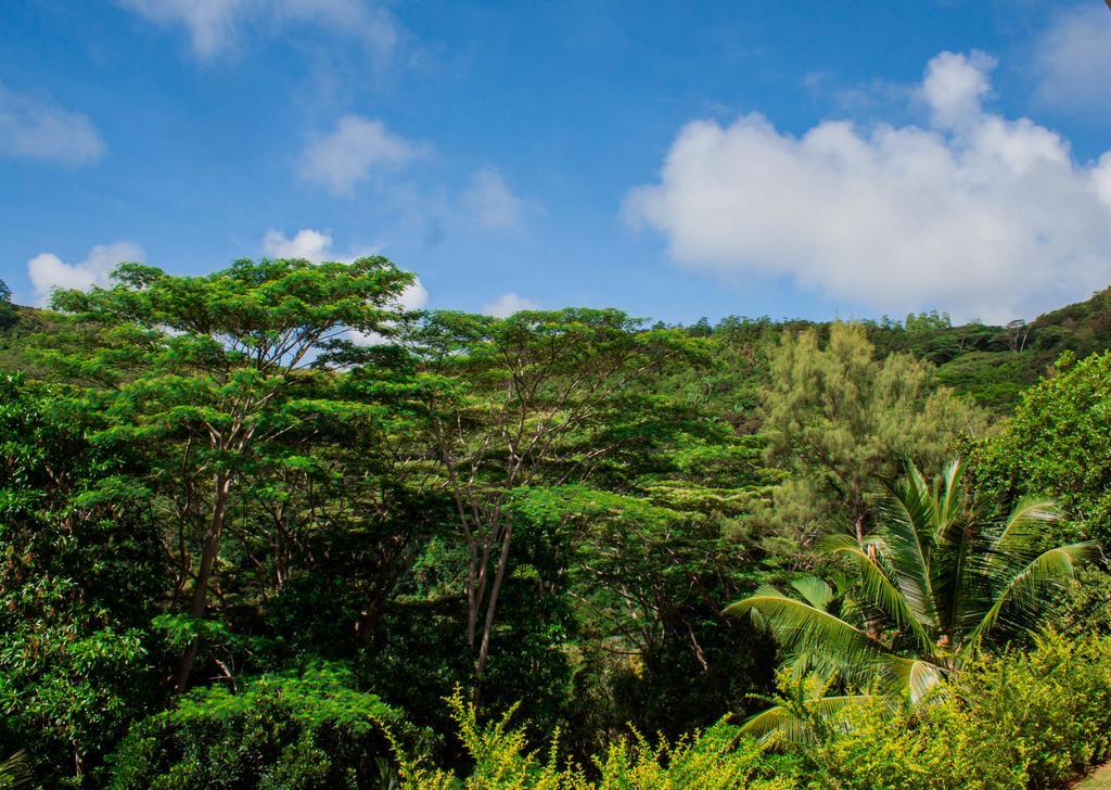 דירות Anse Royale Panorama View מראה חיצוני תמונה